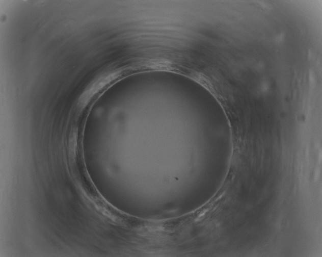 X0000086220194200704051249