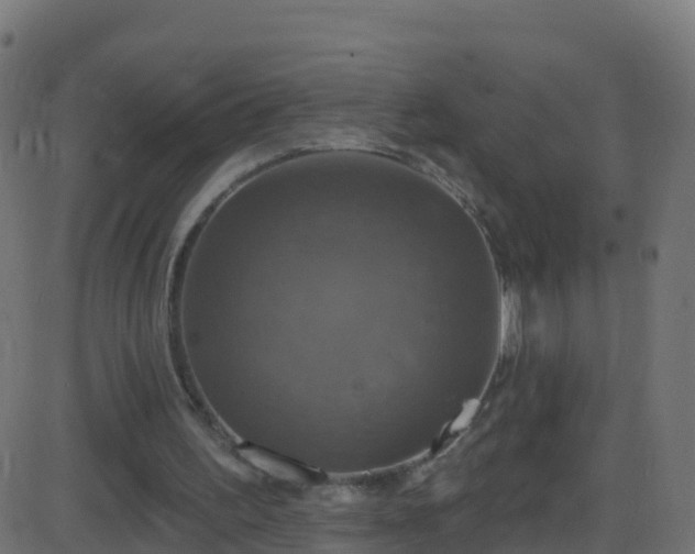 X0000086220195200704051249