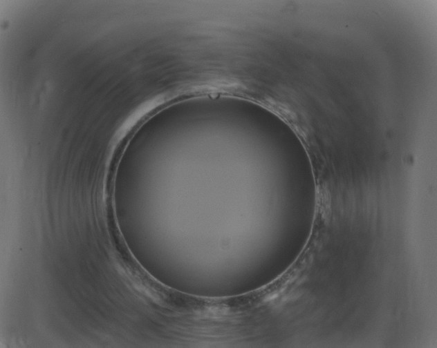 X0000086220196200704051249