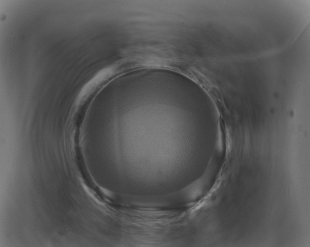 X0000086220197200704051249