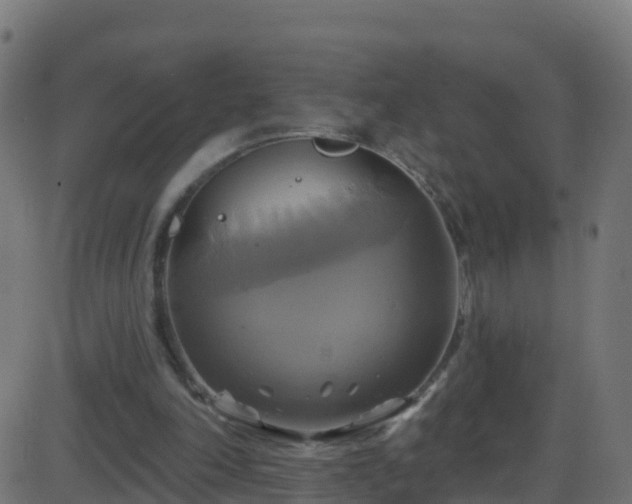 X0000086220198200704051249