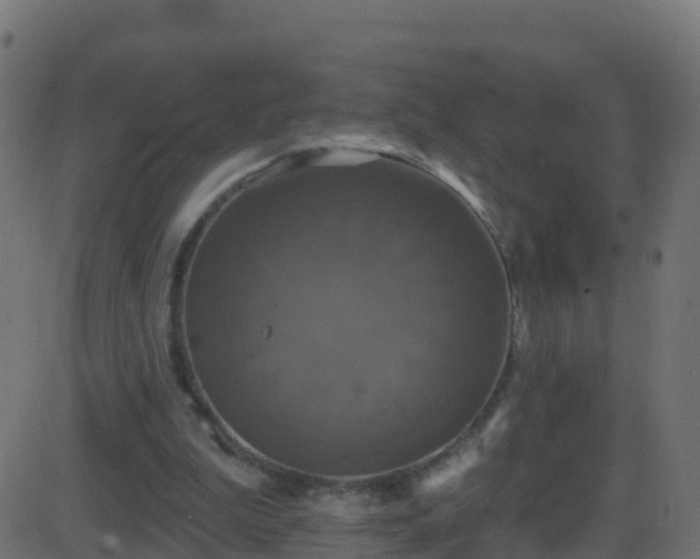 X0000086220199200704051249