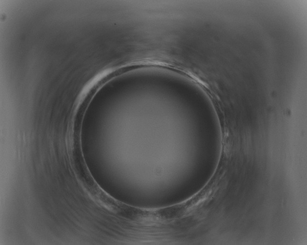 X0000086220200200704051249