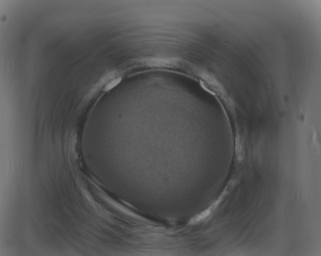 X0000086220201200704051249