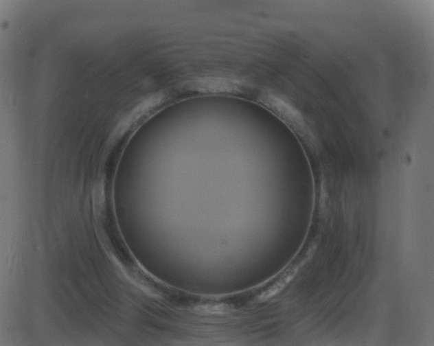 X0000086220202200704051249