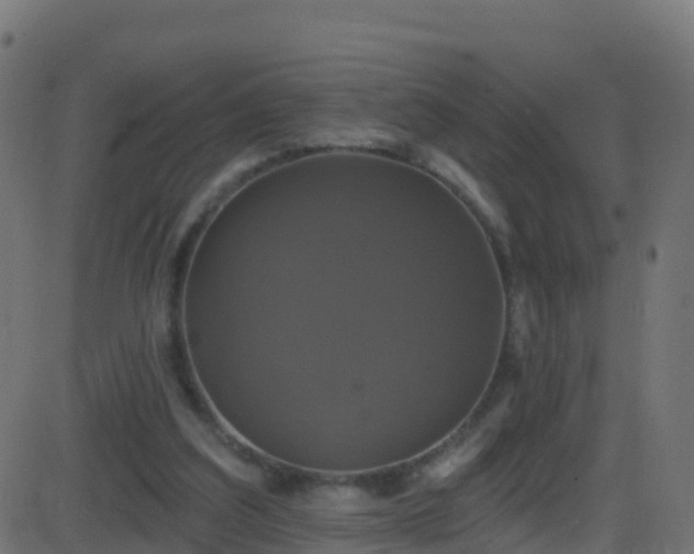 X0000086220203200704051249