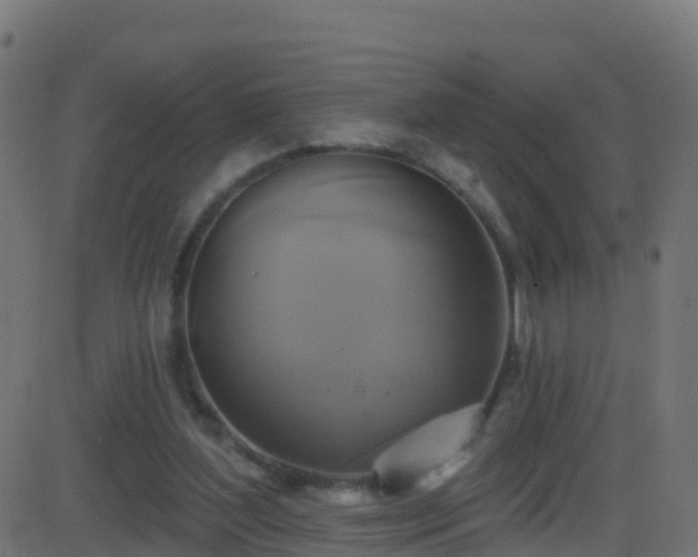 X0000086220204200704051249