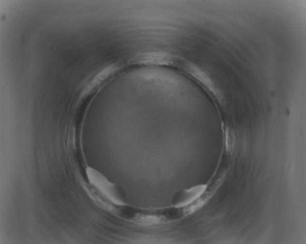 X0000086220205200704051249