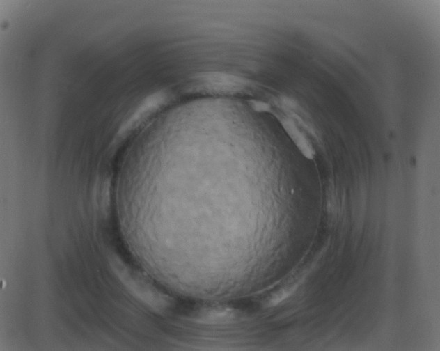 X0000086220206200704051249