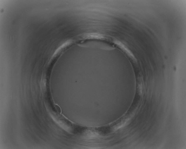 X0000086220207200704051249