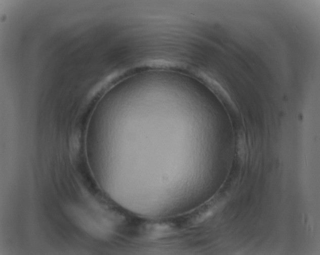 X0000086220208200704051249