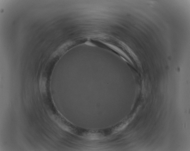 X0000086220209200704051249