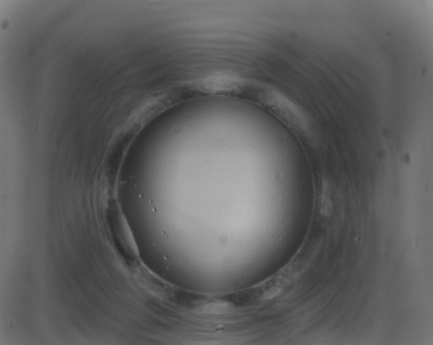 X0000086220210200704051249