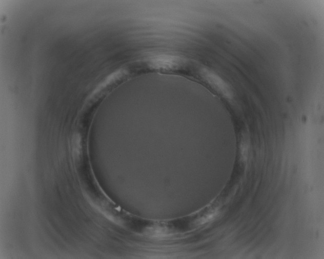 X0000086220211200704051249