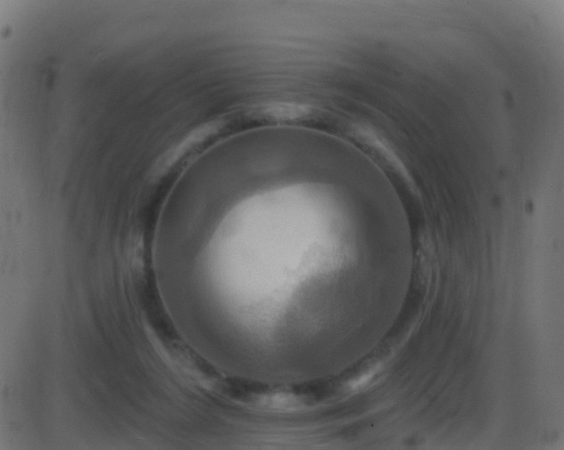 X0000086220212200704051249