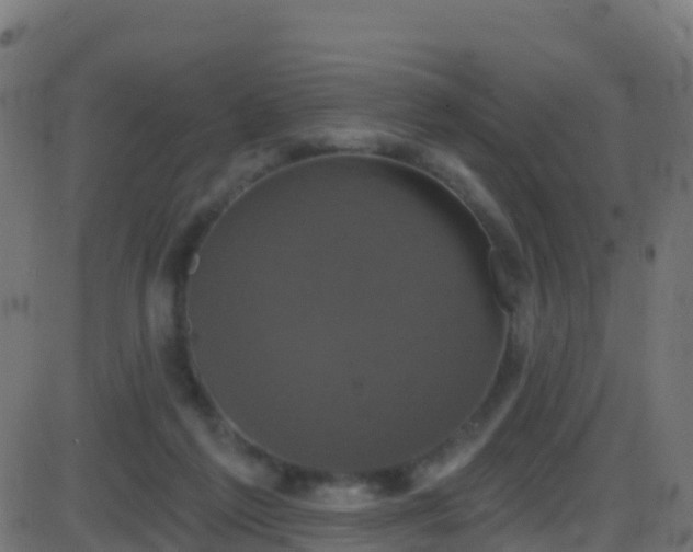 X0000086220213200704051249