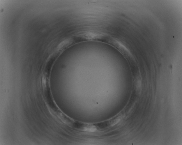 X0000086220214200704051249