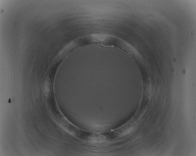 X0000086220215200704051249