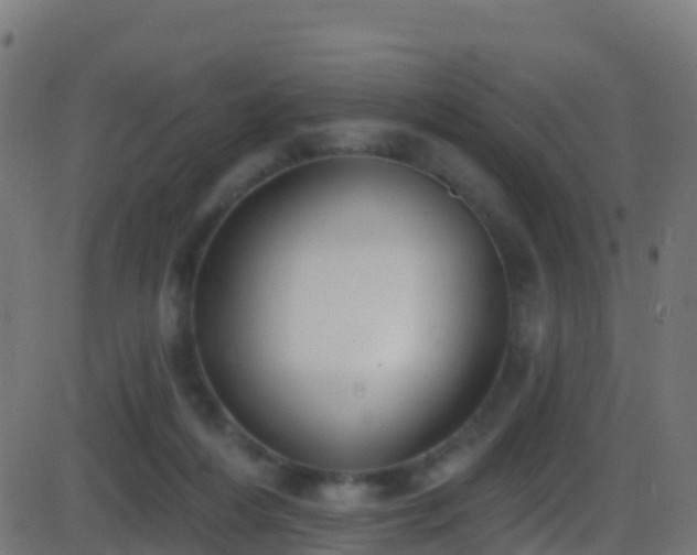 X0000086220216200704051249