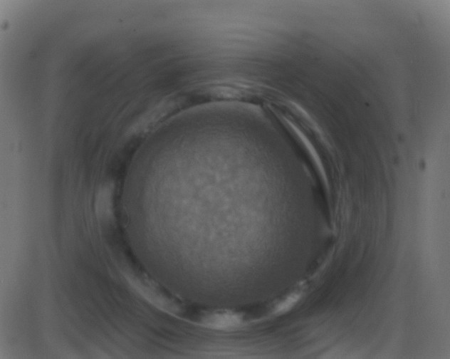 X0000086220217200704051248