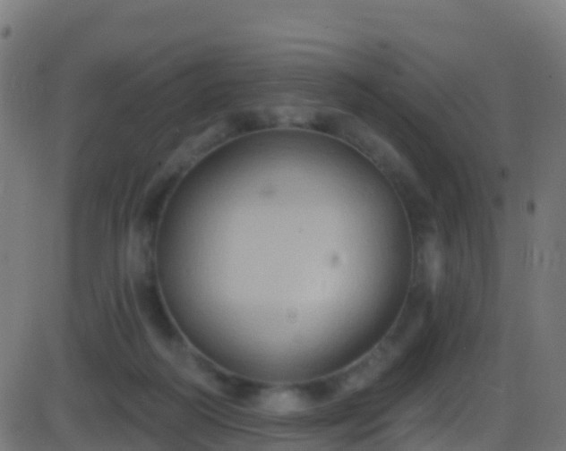 X0000086220218200704051248