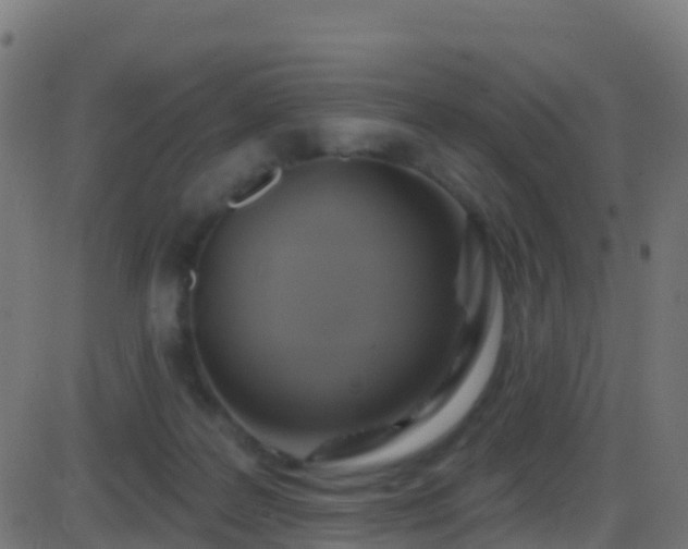 X0000086220219200704051248