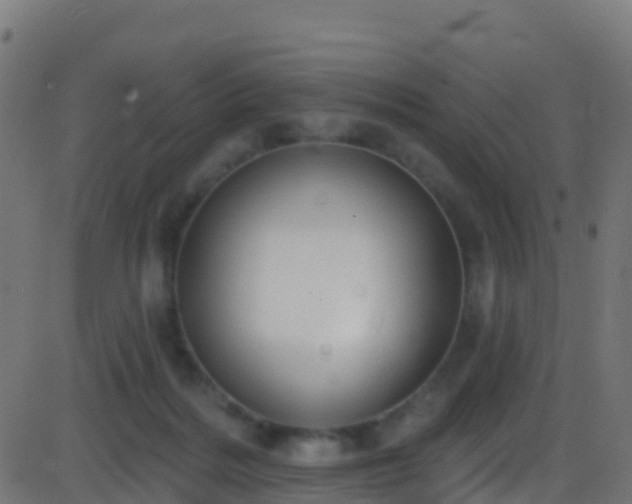 X0000086220220200704051248