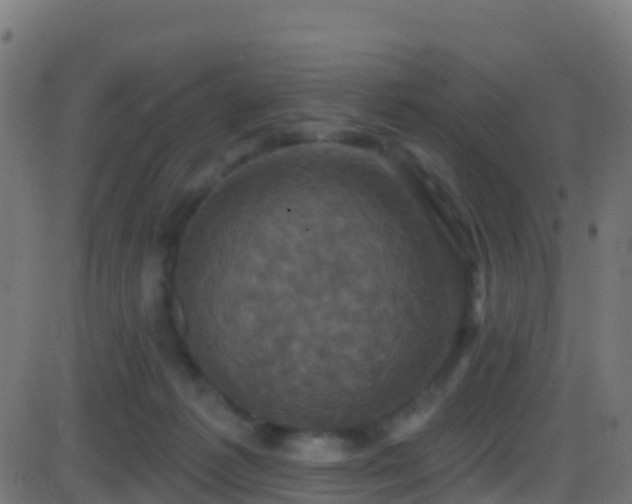 X0000086220221200704051248