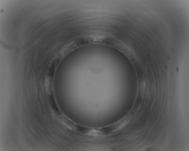 X0000086220222200704051248