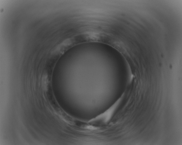 X0000086220223200704051248