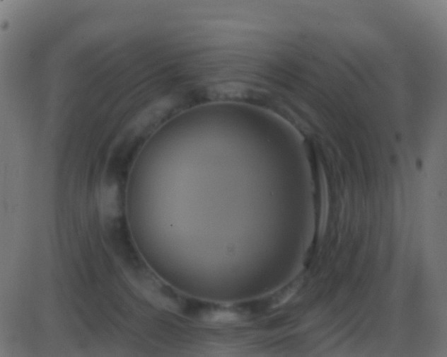 X0000086220224200704051248