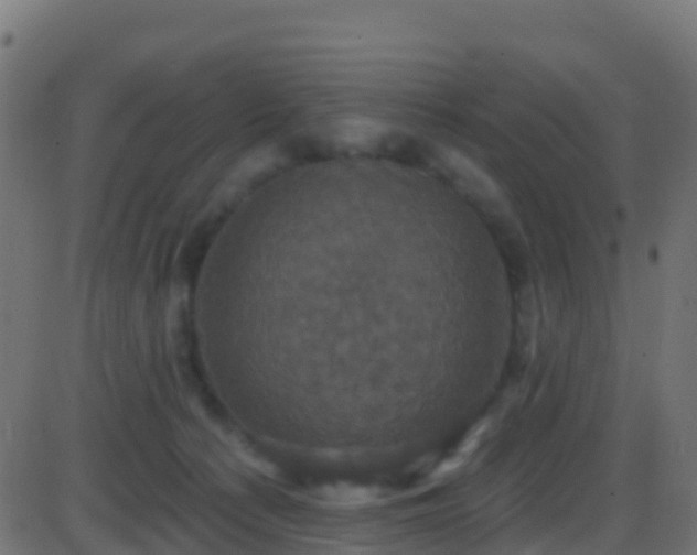 X0000086220225200704051248