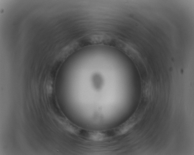 X0000086220226200704051248