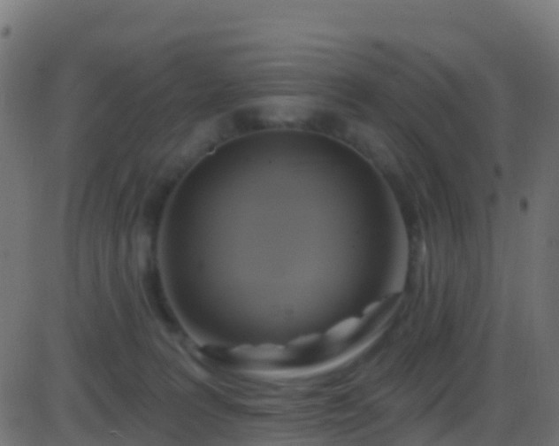 X0000086220227200704051248