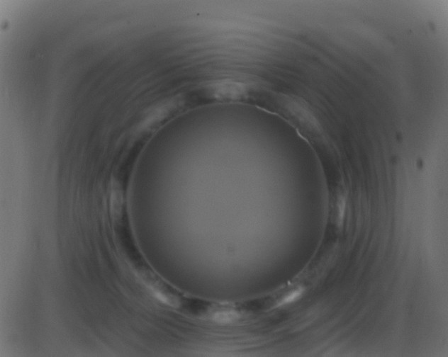 X0000086220228200704051248