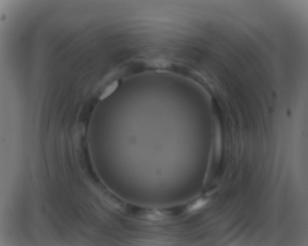 X0000086220229200704051248