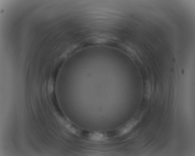 X0000086220230200704051248