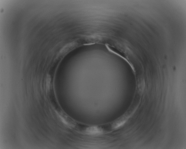 X0000086220231200704051248