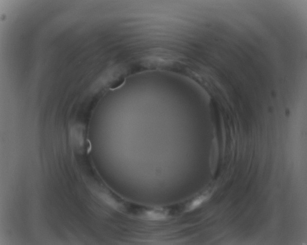 X0000086220232200704051248