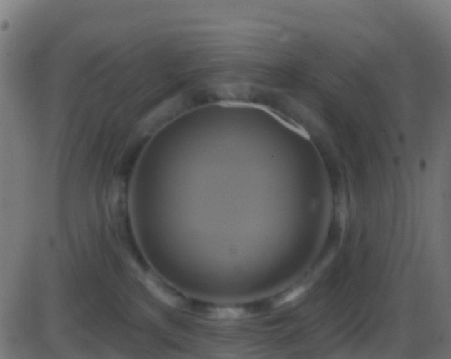 X0000086220233200704051248