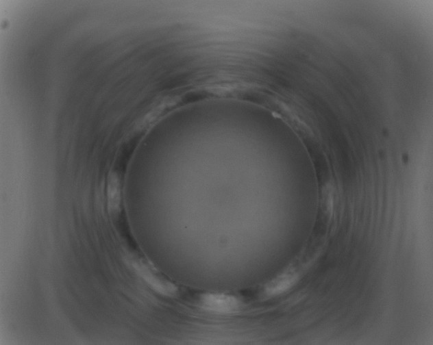 X0000086220234200704051248