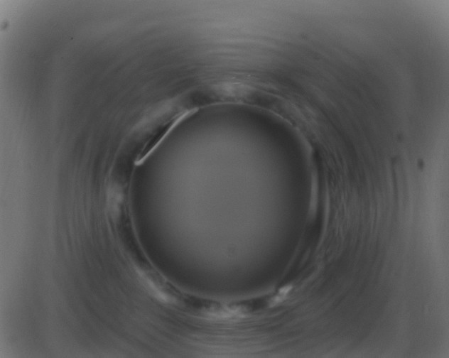 X0000086220235200704051248