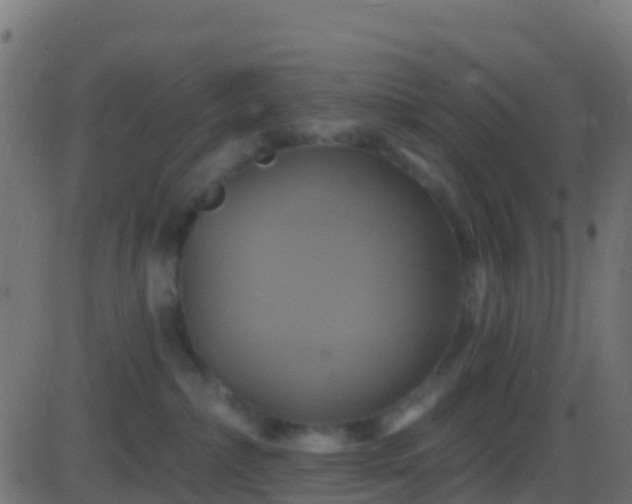 X0000086220236200704051248