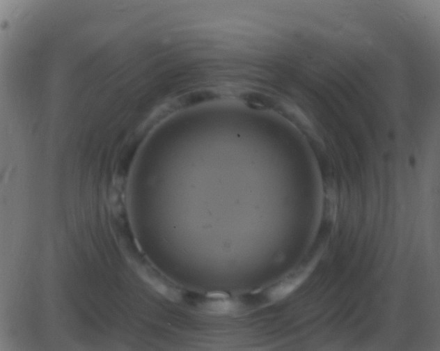 X0000086220237200704051248