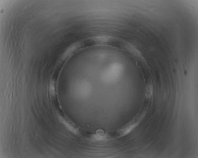 X0000086220238200704051248