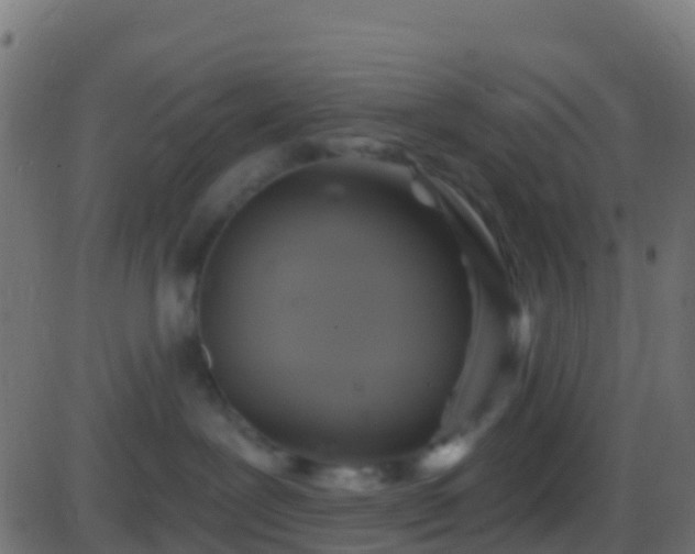 X0000086220239200704051248