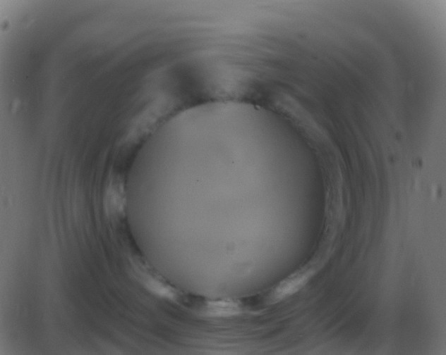 X0000086220240200704051248