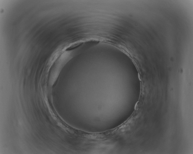 X0000086220241200704051247