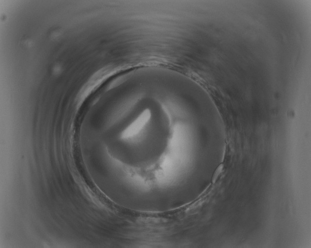 X0000086220242200704051247