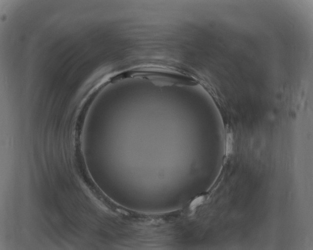 X0000086220243200704051247